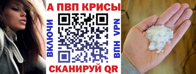 А ПВП СК Волгореченск