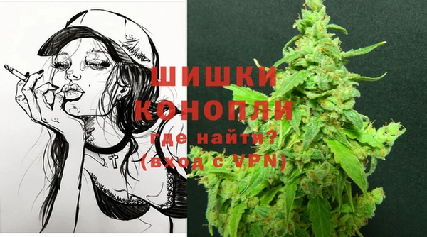 apvp Белокуриха