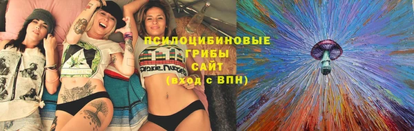 трава Беломорск
