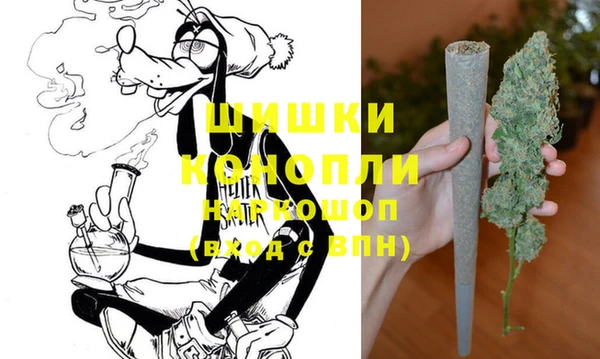 apvp Белокуриха