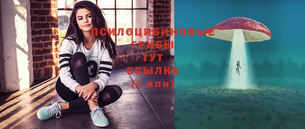 apvp Белокуриха